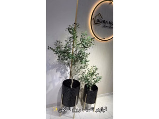 موديل قواوير عصري وراقي