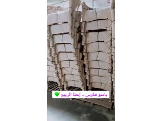بامبو هاوس .. إحنا الربيع 💚