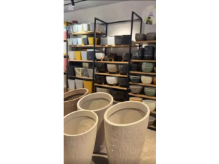 عرض القواوير