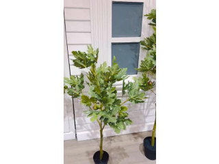 لمسة خضراء تغيّر شكل المكان بالكامل