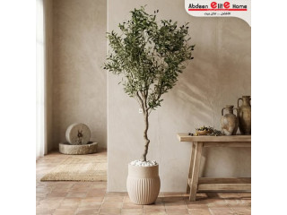 شجرة زيتون ديكور