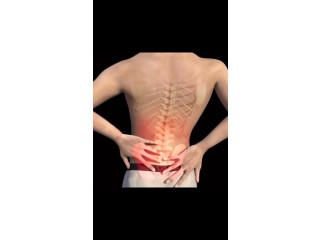 حزام الظهر المغناطيسي الأصلي