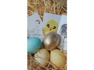 أجواء مليانة فرح ومرح بفعالية صيد البيض