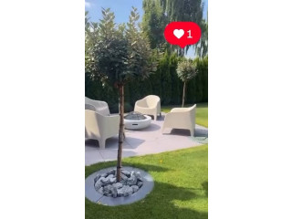 اثاث الحدائق و البرندات لصيف 2026