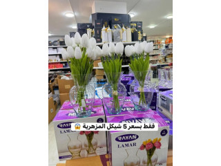 مزهريات زجاج