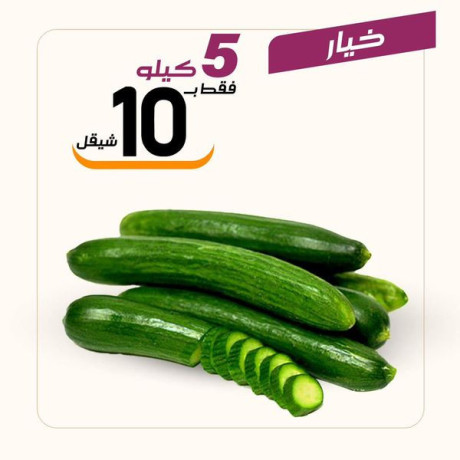 aarod-rmdany-mmyz-mn-aasl-obsl-big-1