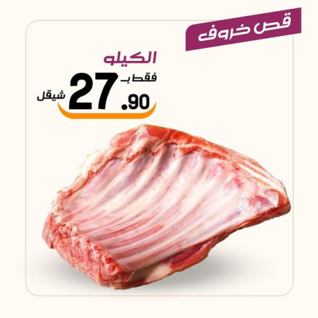 aarod-rmdany-mmyz-mn-aasl-obsl-big-1