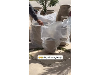 قواوير جديدة