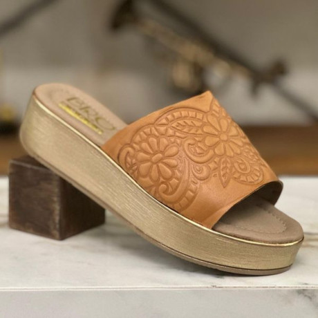 ahdth-modylat-2024-mn-antag-bro-gld-asly-big-0