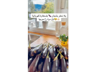 حفارة المحاشي الكهربائية