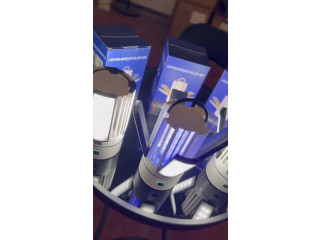 مصيدة الناموس