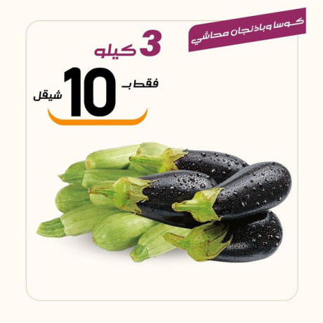 aarod-rmdany-mmyz-mn-aasl-obsl-big-2