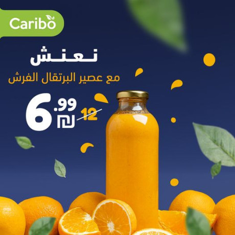 nnaash-maa-aasyr-albrtkal-alfrsh-big-0