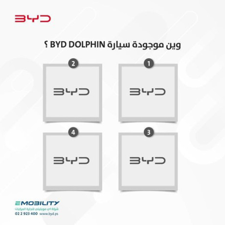 saaadona-lnktshf-rkm-syar-byd-dolphin-big-0