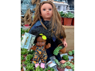 Doll Set with Accessories