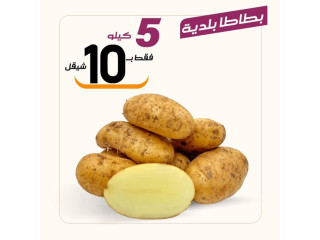 عروض الطازج ليوم السبت 4/11