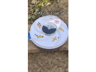 Bee Trap