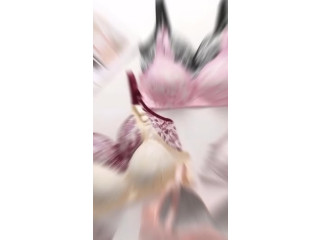 كب كبير قطن بدون سلك ❤️ ب اربع كلبسات