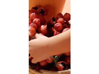 تشكيلة الأطفال الاجمل في البلاد لصيف 2026