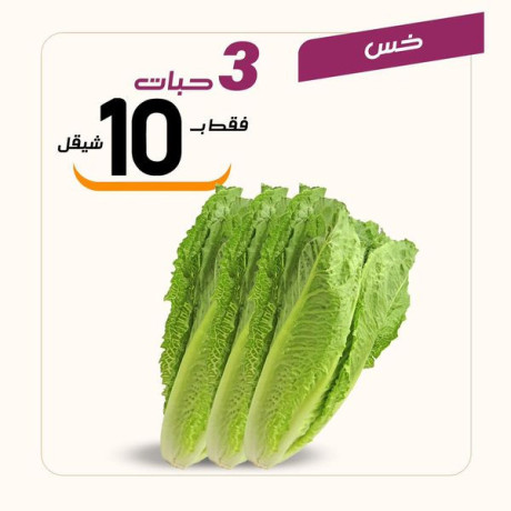 aarod-rmdany-mmyz-mn-aasl-obsl-big-4