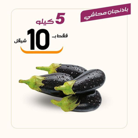 aarod-rmdany-mmyz-mn-aasl-obsl-big-3