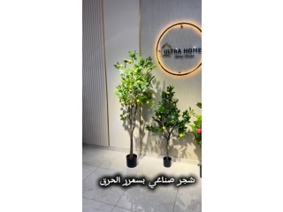 تشكيلة شجر صناعي باحجام وانواع مختلفة