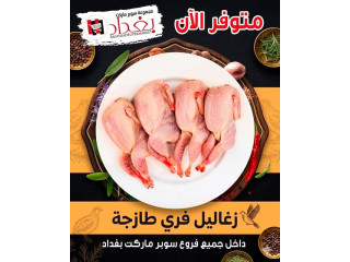 زغالیل فري طازجة