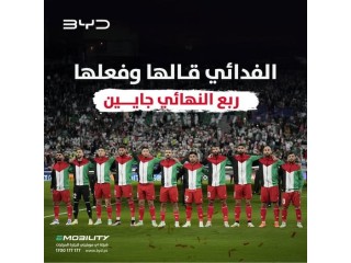 موبليني شركة