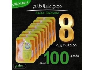 دجاج عزيزا طازج
