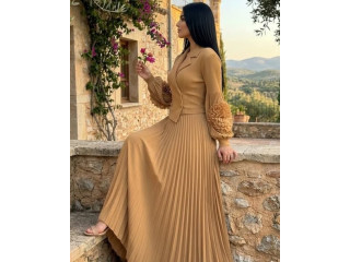 Elegant Pleated Dress