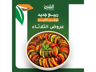 ربيع جديد