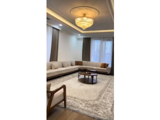 Elegant Living Room Sofa Set