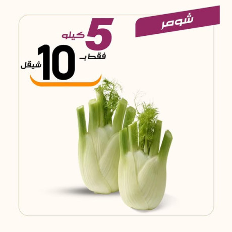 aarod-altazg-lyom-alarbaaaaa-1224-big-4