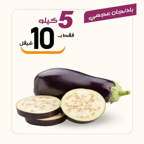 aarod-altazg-lyom-alarbaaaaa-1224-big-3