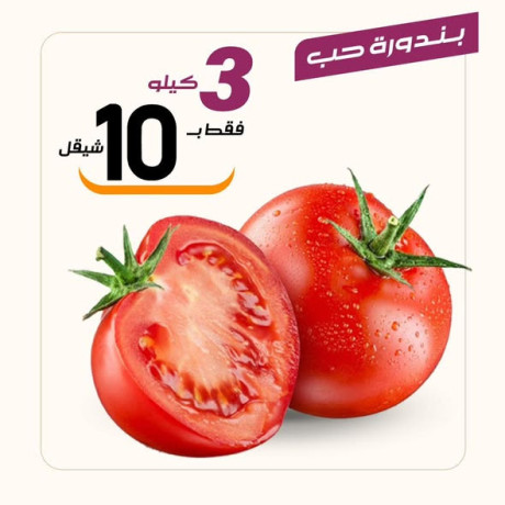 aarod-altazg-lyom-alarbaaaaa-1224-big-0