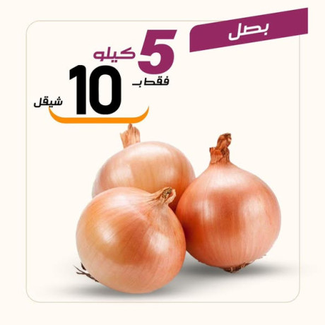 aarod-altazg-lyom-alarbaaaaa-1224-big-2