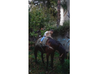 غيث عايش أحلى مغامراته