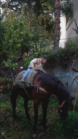 ghyth-aaaysh-ahl-mghamrath-big-0