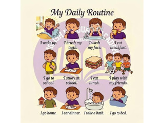 My Daily Routine