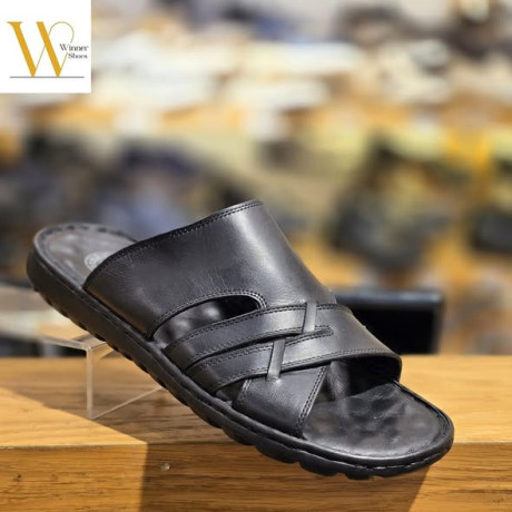 gld-asly-o-koalb-tby-big-1