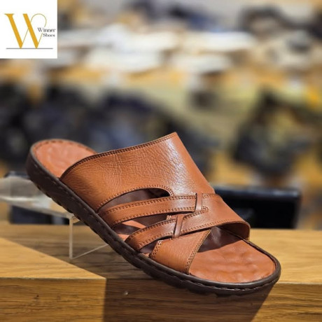 gld-asly-o-koalb-tby-big-0