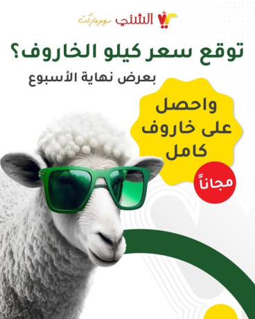 tokaa-saar-kylo-alkharof-big-0