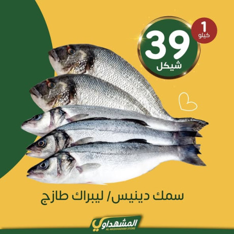 almshhdaoy-byt-alkl-big-1