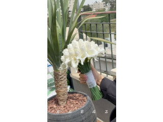 Flower Bouquet