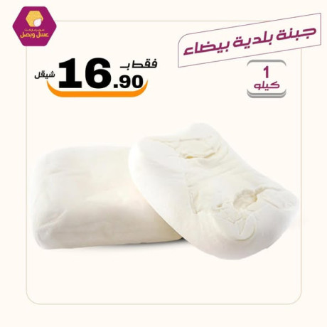 aard-altazg-lyom-alkhmys-1225-aasl-obsl-sobrmarkt-big-1