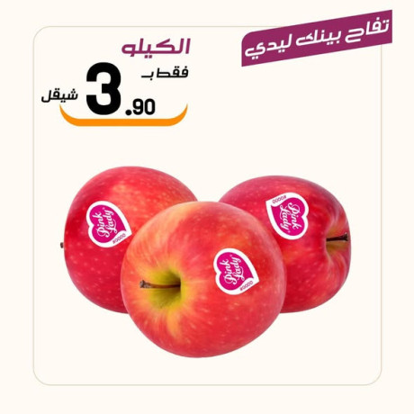 aard-altazg-lyom-alkhmys-1225-aasl-obsl-sobrmarkt-big-3