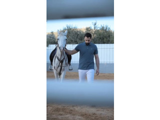 بلايز الألفي