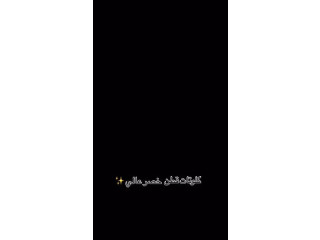 كلوتات قطن خصر عالي ❤️