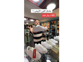الحذاء