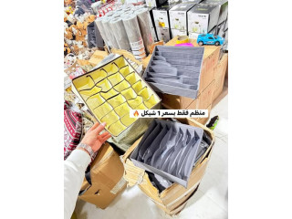 Organizer